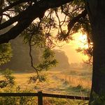 Gillian Apps - @peyresq - Instagram