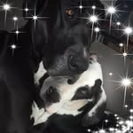 Gillian Arnold - @gillianarnold01 - Instagram