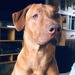Gillian Asher - Facebook