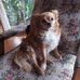 Gillian Baldwin - Facebook