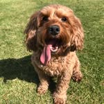 Gillian Barron - @barrong602024 - Instagram