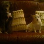 Gillian Baxter - @gillian.baxter.374 - Instagram