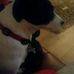 Gillian Baxter - Facebook
