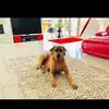 gillianbeesley - @gillianbeesley - TikTok