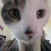 Gillian Bennett - @gillian.bennett91 - TikTok