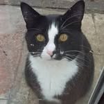 Gillian Bishop - @gillian.bishop.71 - Instagram