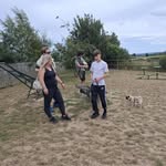 Gillian Bishop - @gillian.bishop.9210 - Instagram