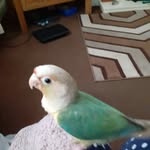 Gillian Blake - @gillian70615 - Instagram