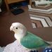 Gillian Blake - Facebook