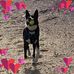Gillian Blakesley - Facebook