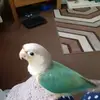 gillianblake62 - @gillianblake62 - TikTok