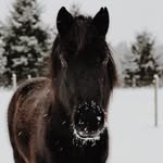 Gillian Borders - @gilliankathleenborders - Instagram