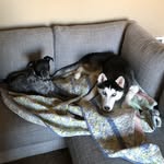 Gillian Borders - @suki_and_rue - Instagram