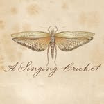 A Singing Cricket | illustrations by Gillian Bowen-Johnston - @a_singing_cricket - Instagram