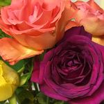 Gillian Boyle - @gillian.boyle.14 - Instagram