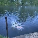 Gillian Foster Boyle - @gillianmf3 - Instagram