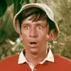 Gilligan - @gilliganbuddy - TikTok