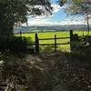 Gillian Burroughs - @gillian.burroughs - TikTok