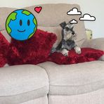Gillian Butcher - Facebook