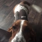 Khylen Bird - Facebook