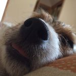 Gillian Cameron - @gilliancameron11 - Instagram