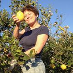 GILLIAN CAMERON COOPER - @gillycountryliving - Instagram