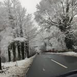 Gillian Chambers - @gillianchambers50 - Instagram