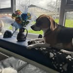 Gillian Chambers - @chambers.gillian - Instagram