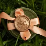 Lost Forest™ | Gillian Corcoran - @lostforestshop - Instagram