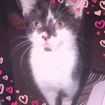 Gillian Davis - @gilliandavis4827 - Instagram