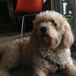 Gillian Day - @wanabefriends - Instagram