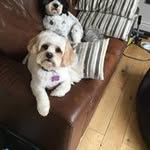 Gillian Dent Cullen - @dentcullen - Instagram