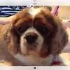 Gillian Deyes - @gillian.deyes - TikTok