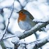 Gillian Docherty - @gillian.docherty8 - TikTok