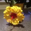 gilliandoherty65 - @gilliandoherty65 - TikTok