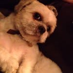 Gilliandoran - @gilliandoran66 - Instagram