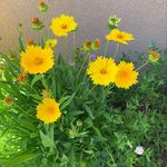 Gillian Erickson - @gillian.erickson.7 - Instagram