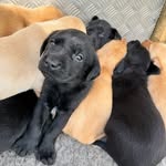Gillian Evans - @gillievs - Instagram