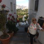 Gillian Evans - @gillian.evans.733 - Instagram