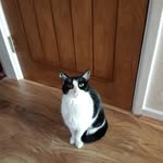 Gillian Evans - @gillian.evans.750983 - Instagram
