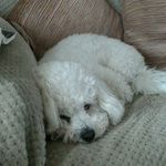 gillian fields - @gillianfields8 - Instagram