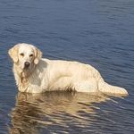 Gillian Fieldsend - @gillianfieldsend - Instagram