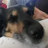 user5820424688588 - @gillianfoley1 - TikTok