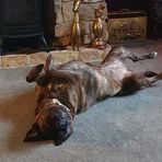 Gillian Fraser - Facebook