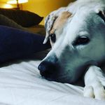 Gillian Gardner - @gilliangardner71 - Instagram