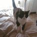 Gillian Gardner - Facebook