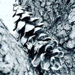Gillian Gardner - @gilliangardner52 - Instagram