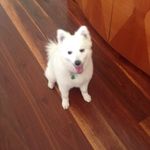 Gillian Giles - @gilliangiles51 - Instagram