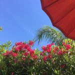 Gillian Giles - @gillian._.photography - Instagram
