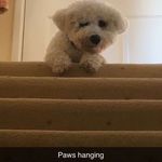 Gillian Ogrady - @gillian.ogrady - Instagram